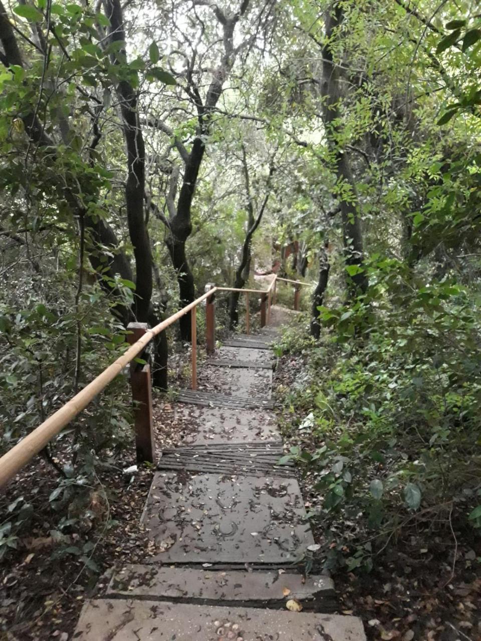 Villa פסגת מתת Pisgat Mattat Extérieur photo