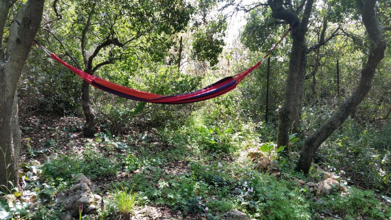 Villa פסגת מתת Pisgat Mattat Extérieur photo